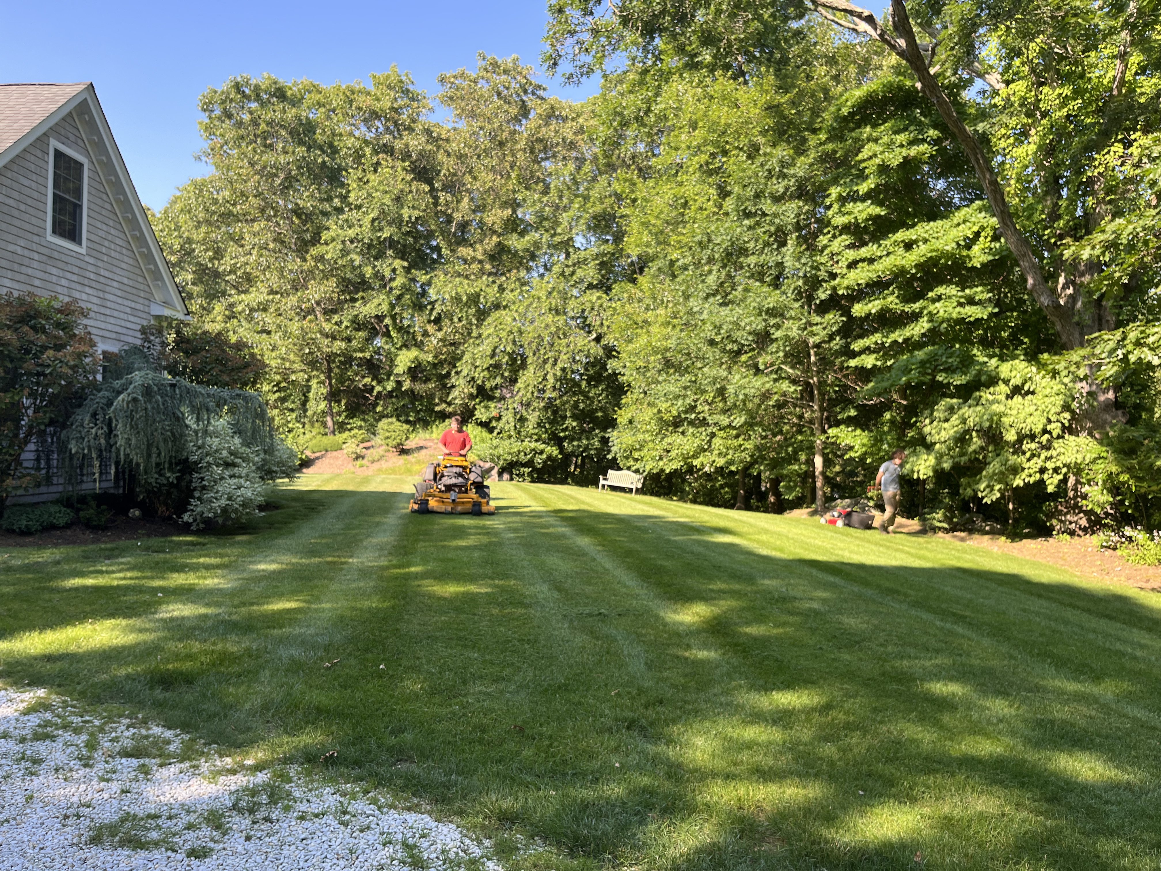 Property Maintenance